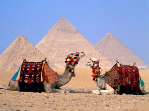 Бесплатный визовый режим в Египте отменяется