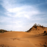 Пустыня Кизыл-Кум